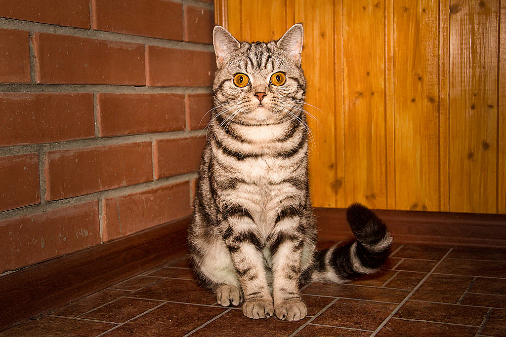 Ватруша-150920_174923