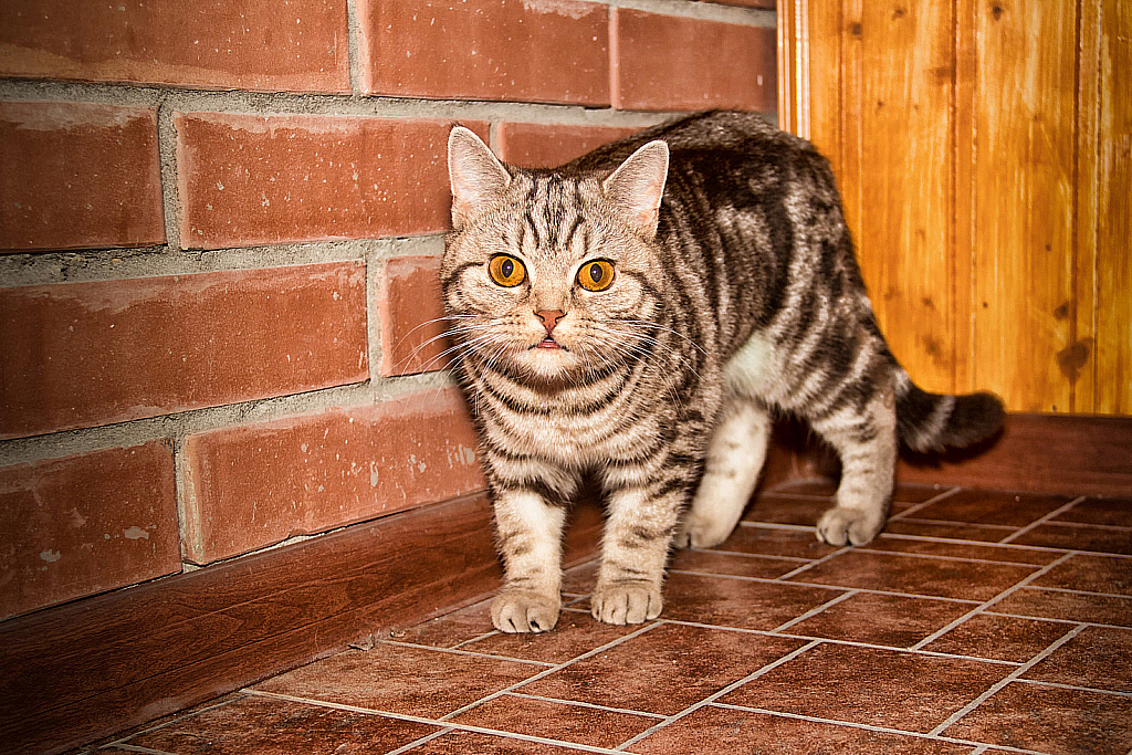 Ватруша-150920_175107