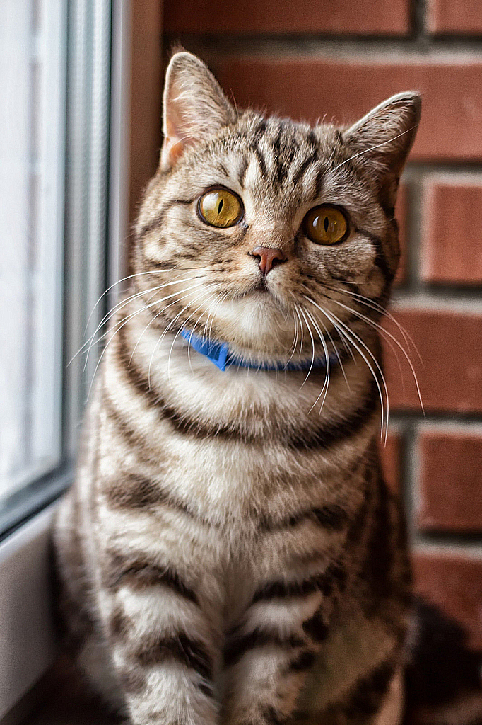 Ватруша-151017_150725