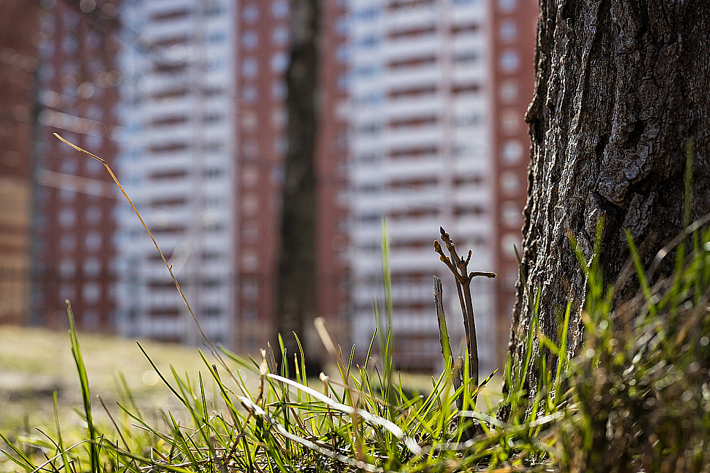 Вкус самоизоляции-200426_150723