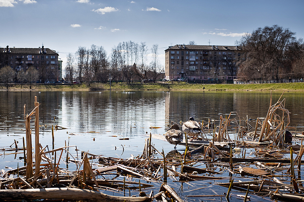 Вкус самоизоляции-200426_151550