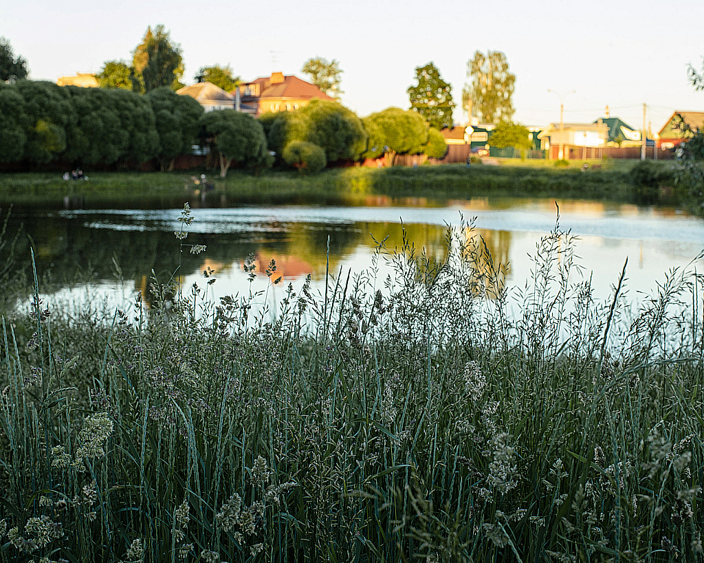 Вокруг прудов-200621_203844
