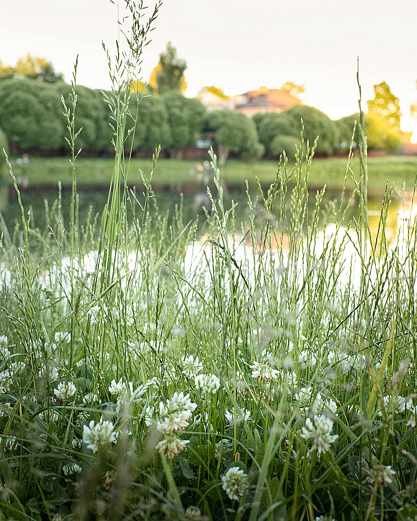 Вокруг прудов-200621_204636