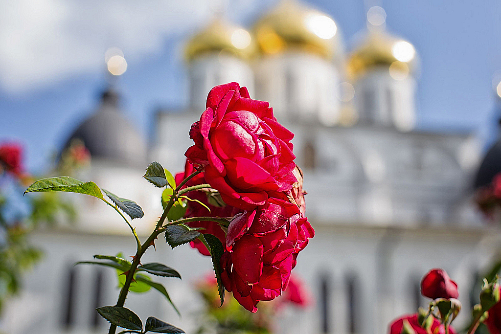 Дмитров летом-190721_154224