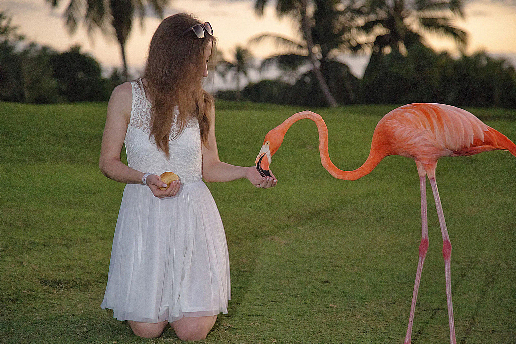 Доминикана 2018-181206_012045