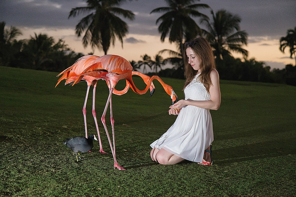 Доминикана 2018-181206_012127