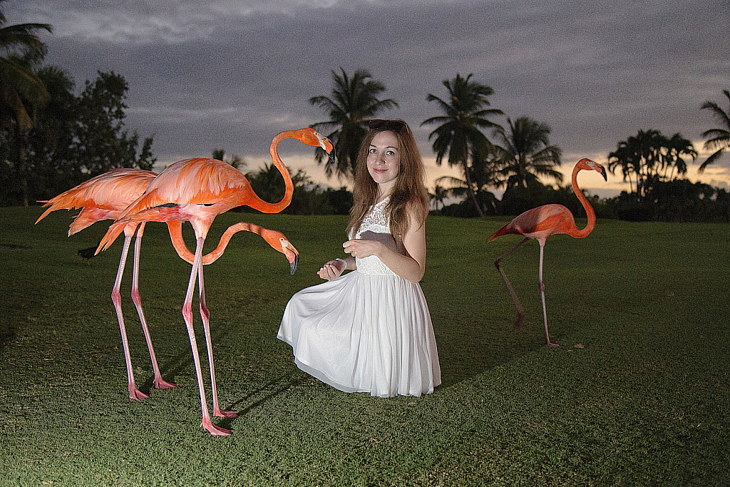 Доминикана 2018-181206_012219