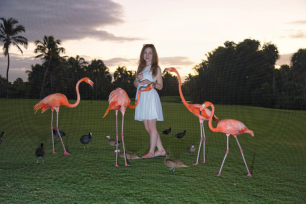 Доминикана 2018-181206_012456