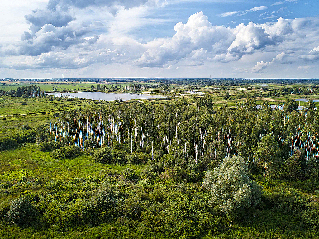 Дронофото Лето 2018-180714_164801