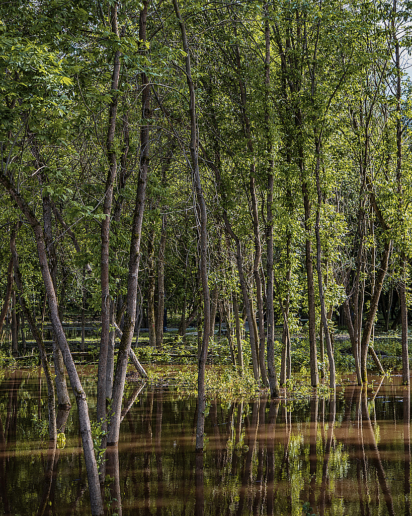 Дубна-200613_165432