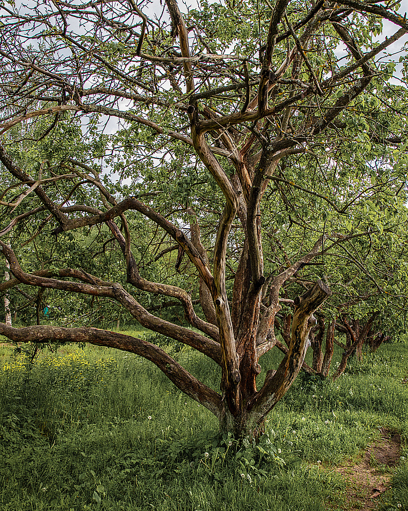 Дубна-200613_171711