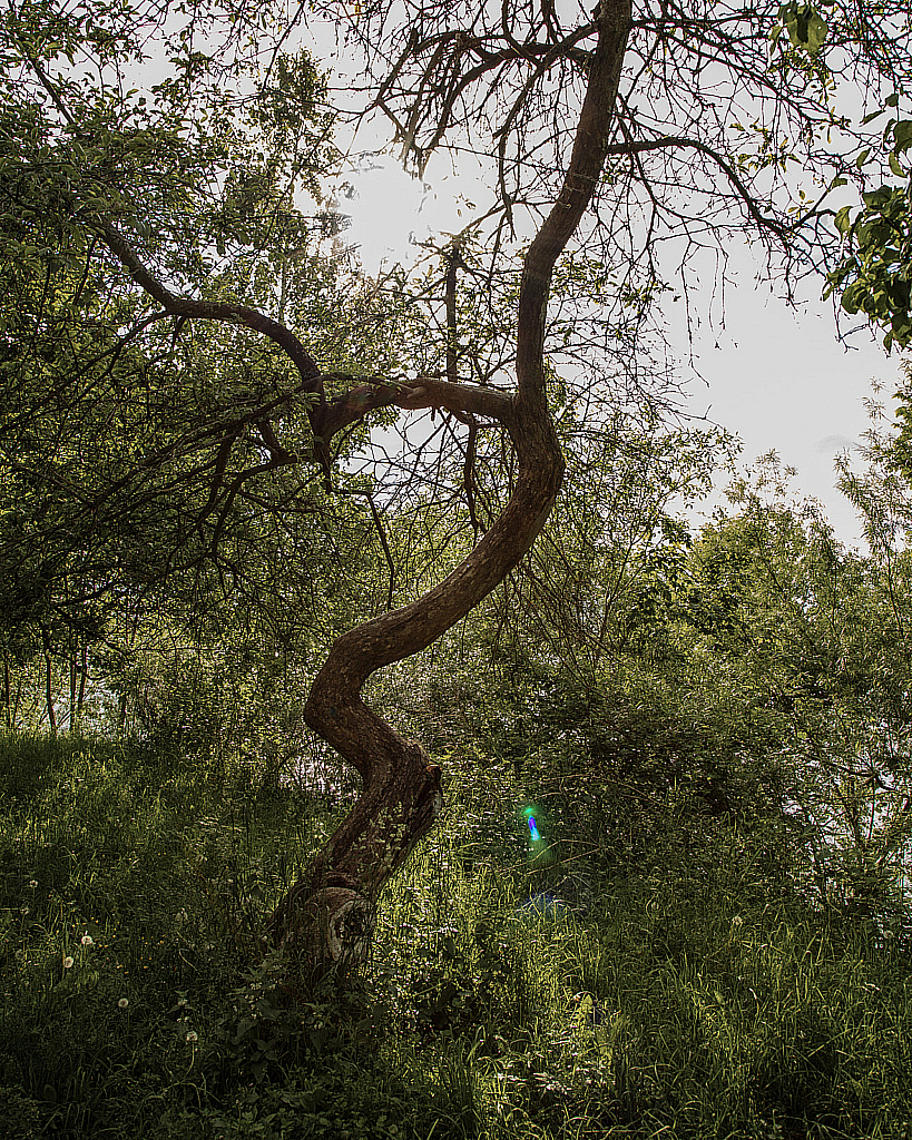 Дубна-200613_174626