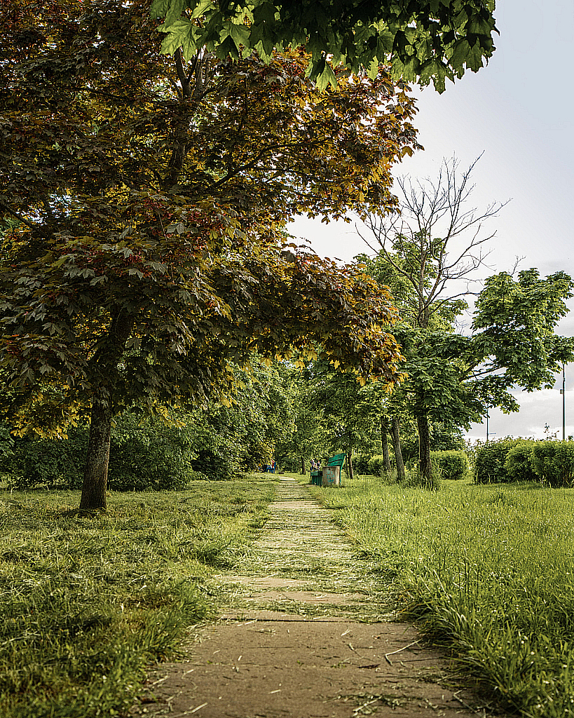 Дубна-200613_175548