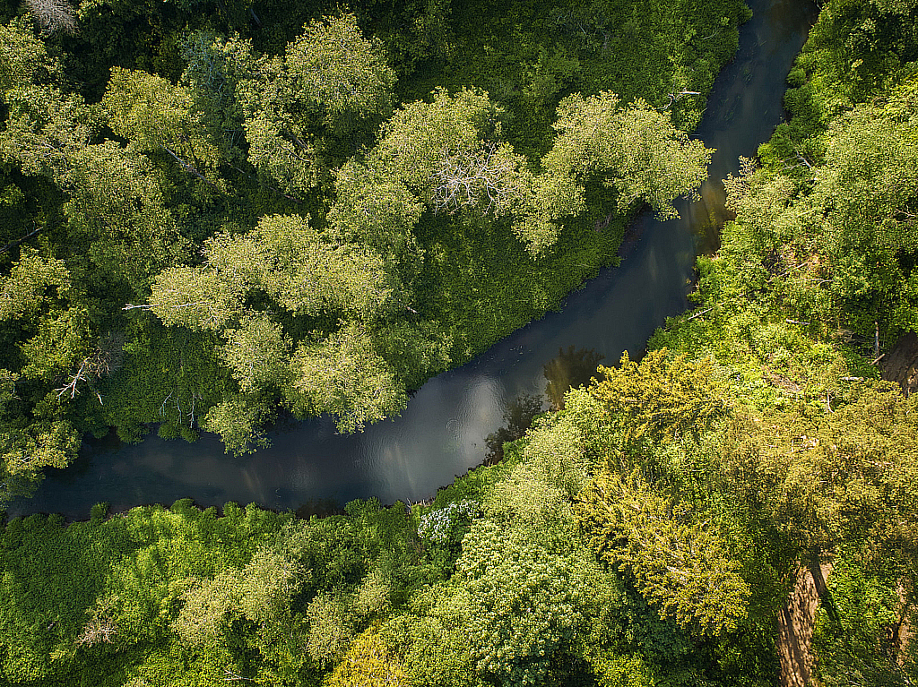 Ильинские Холмы дронофото-190601_183722