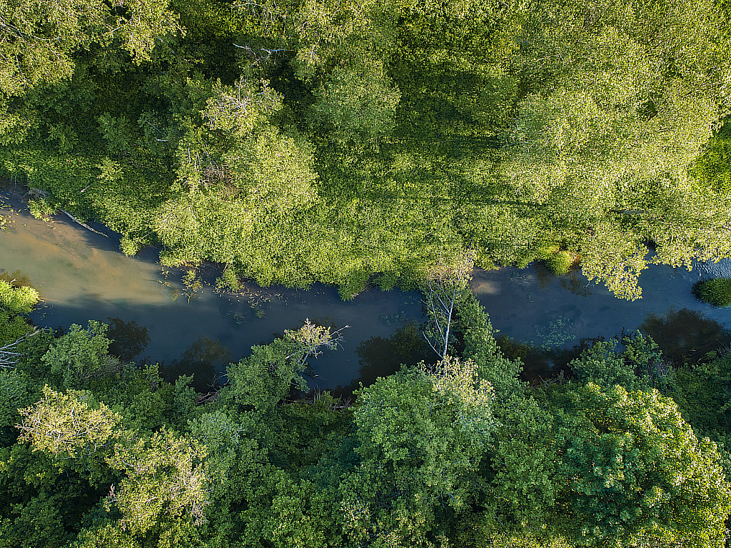 Ильинские Холмы дронофото-190601_184820