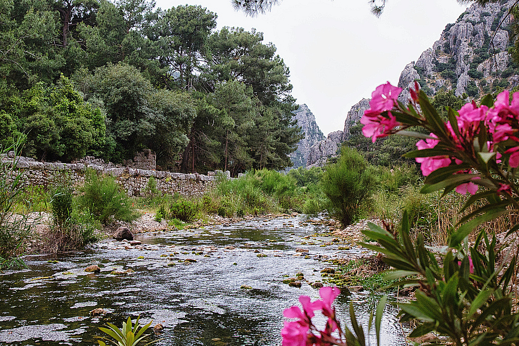 Кемер Чиралы Фаселис Природа-180504_172357