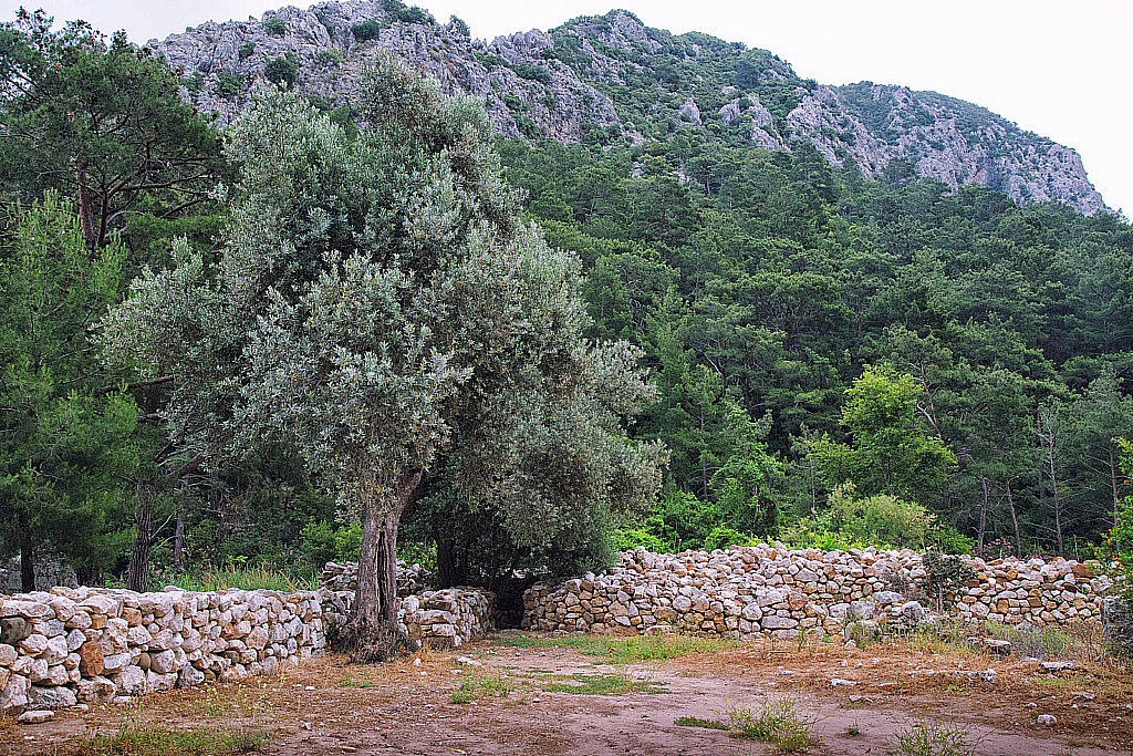 Кемер Чиралы Фаселис Природа-180504_172823