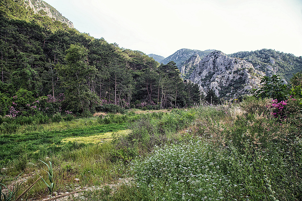 Кемер Чиралы Фаселис Природа-180507_180611