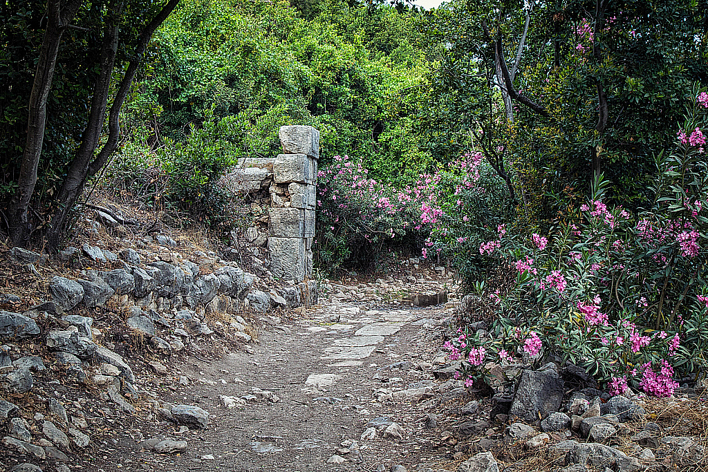 Кемер Чиралы Фаселис Природа-180507_182342