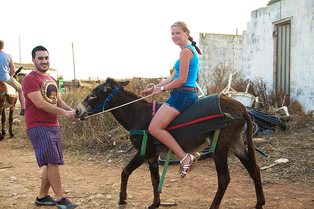 Кипр 2013 — Ослики-231121_042748