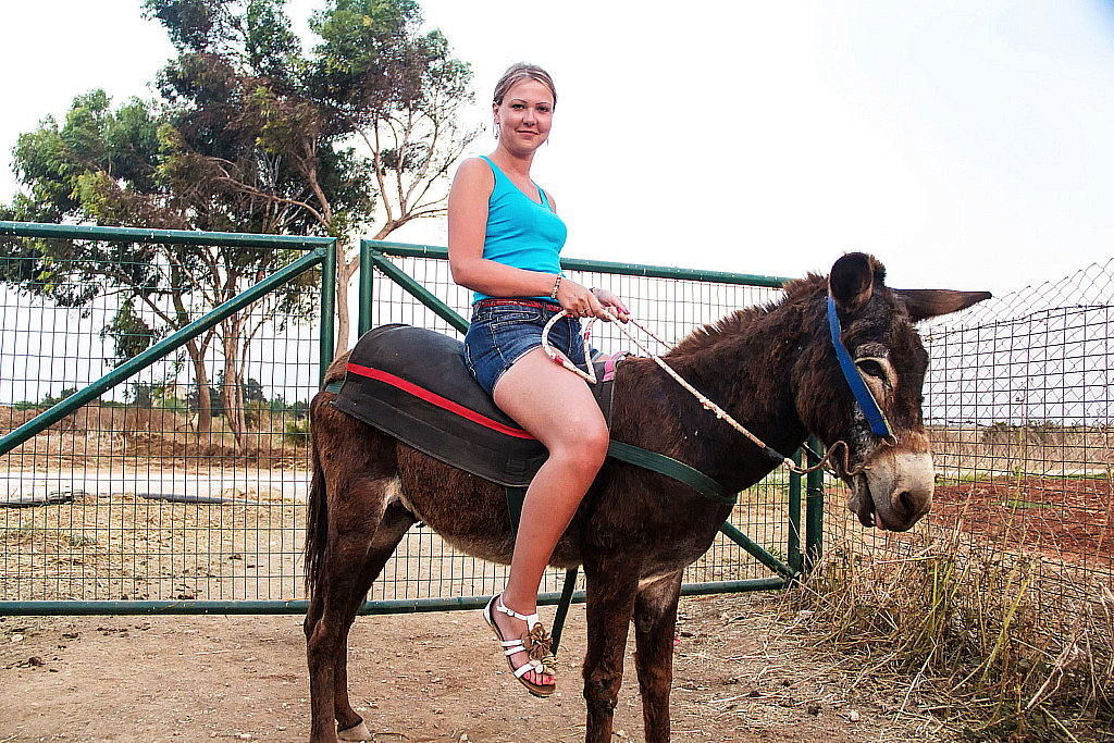 Кипр 2013 — Ослики-231121_043659