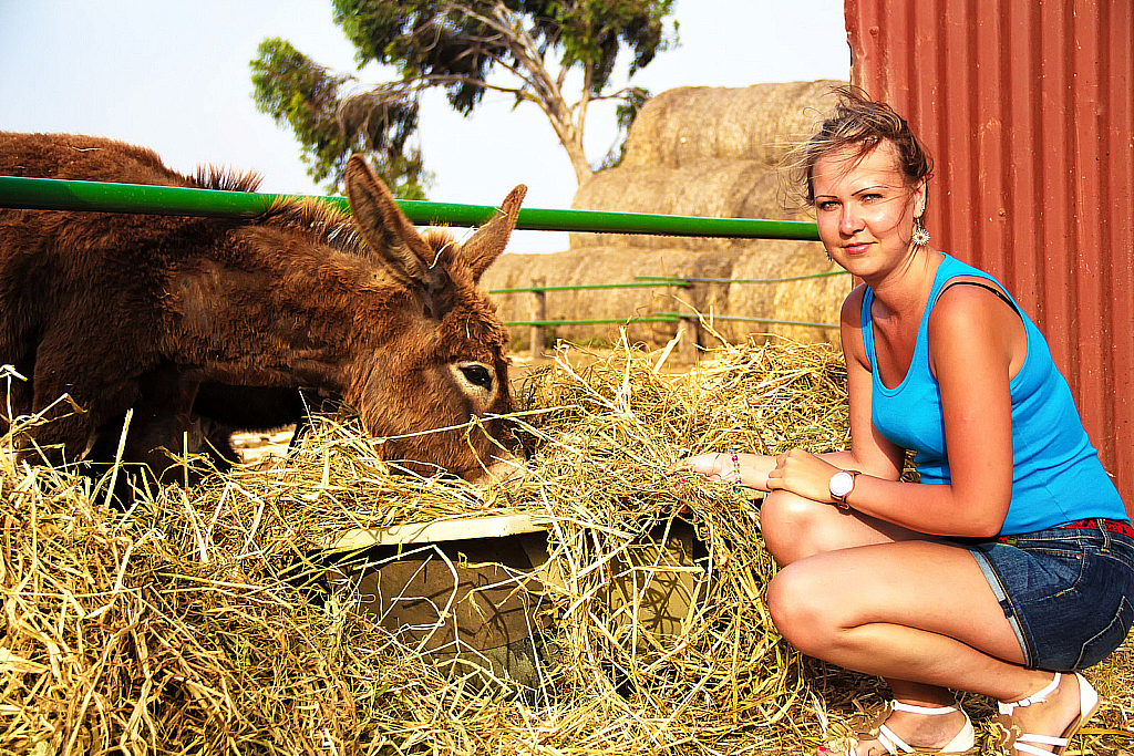 Кипр 2013 — Ослики-231121_043805