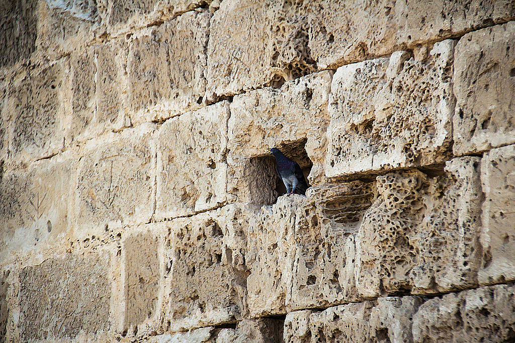 Кипр 2013 — Поездки-231121_043537