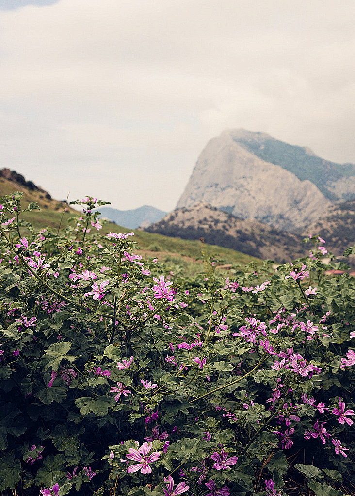 Крым Новый Свет_210627_115137