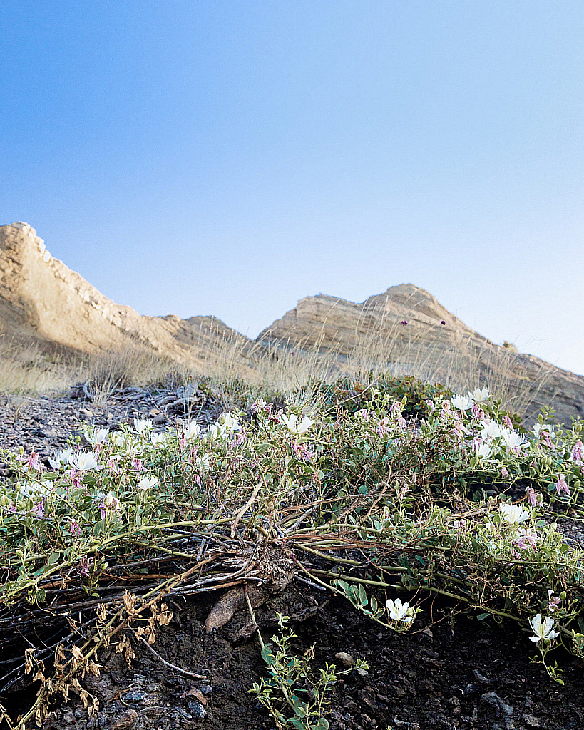 Крым Новый Свет_210628_070329