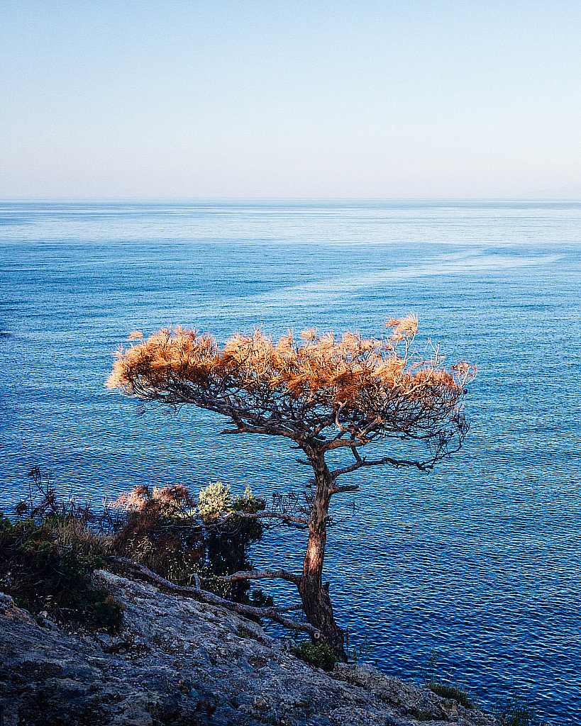 Крым Новый Свет_210628_071418