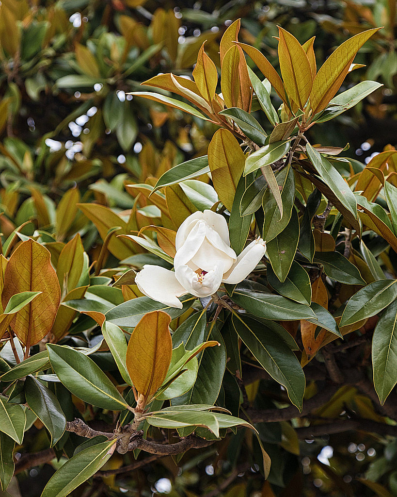 Крым Ялта-210622_115029