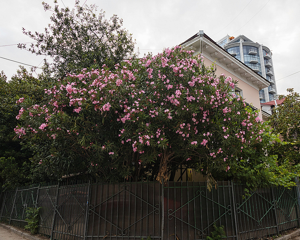 Крым Ялта-210622_185823