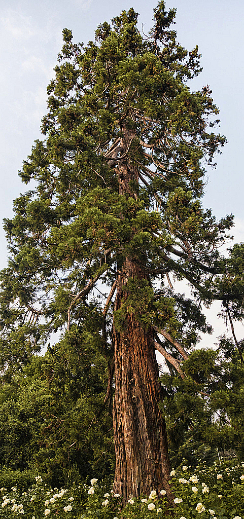 Крым Ялта-210623_181239