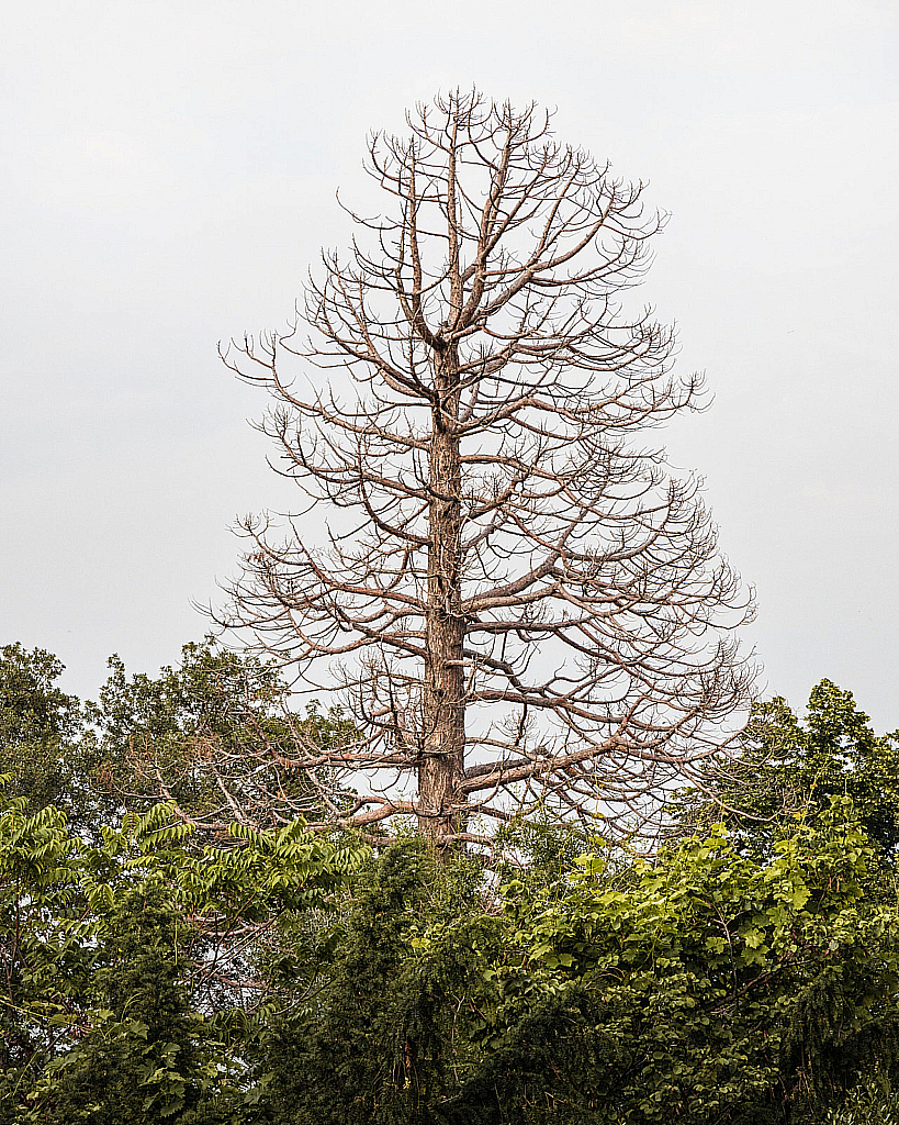 Крым Ялта-210623_183910