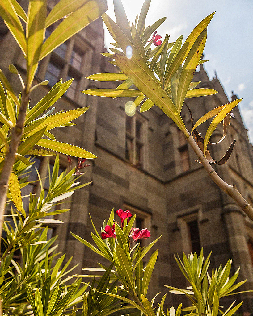 Крым Ялта-210624_131134