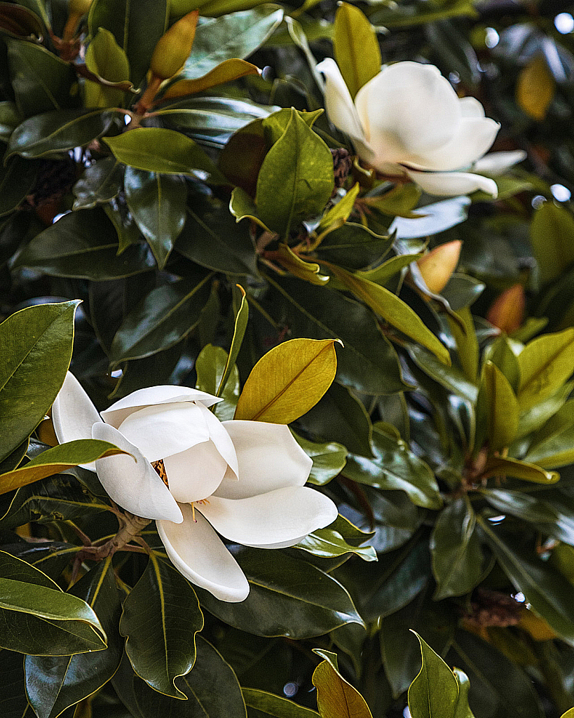 Крым Ялта-210624_133219