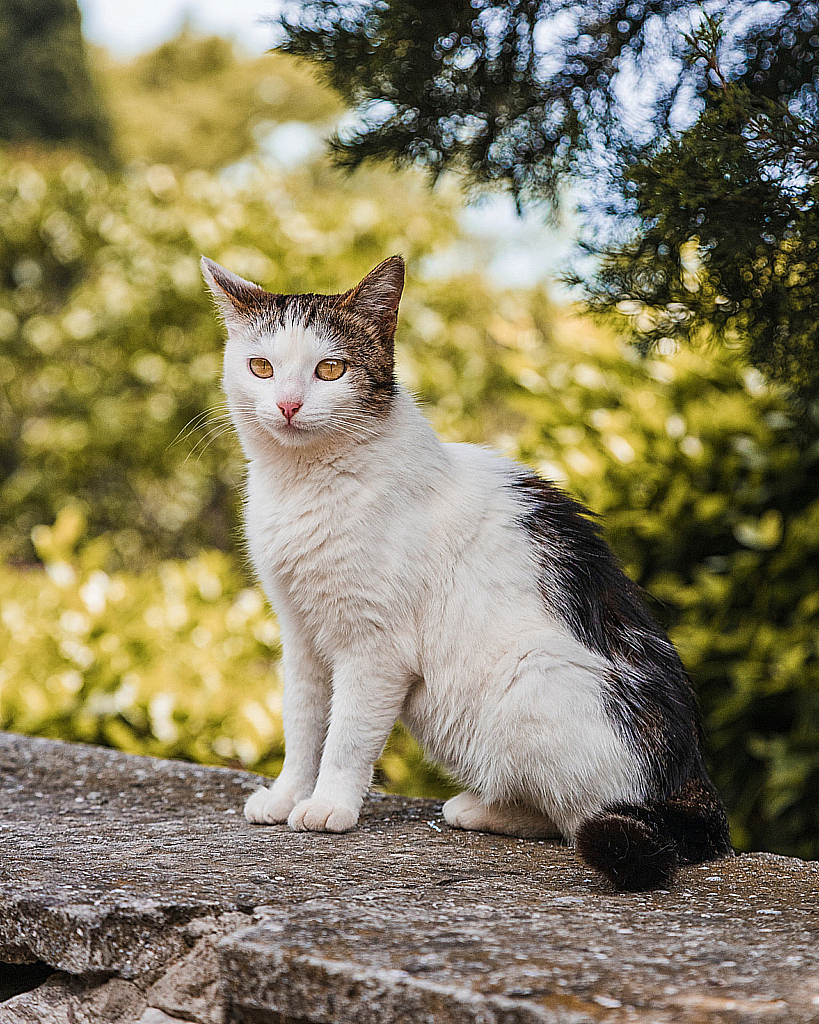 Крым Ялта-210624_133835