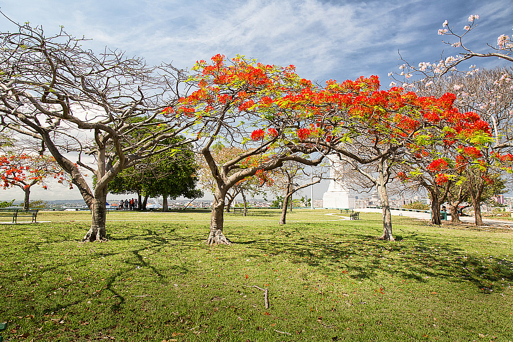 Куба 2017 Гавана-180502_214417