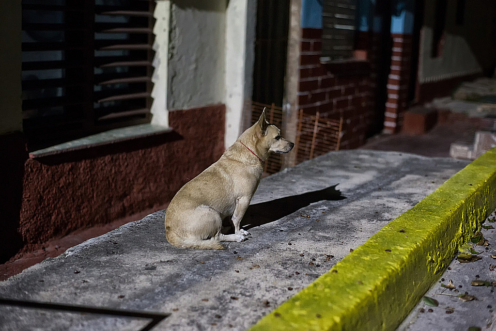 Куба 2017 Прогулки по Варадеро-180428_074149