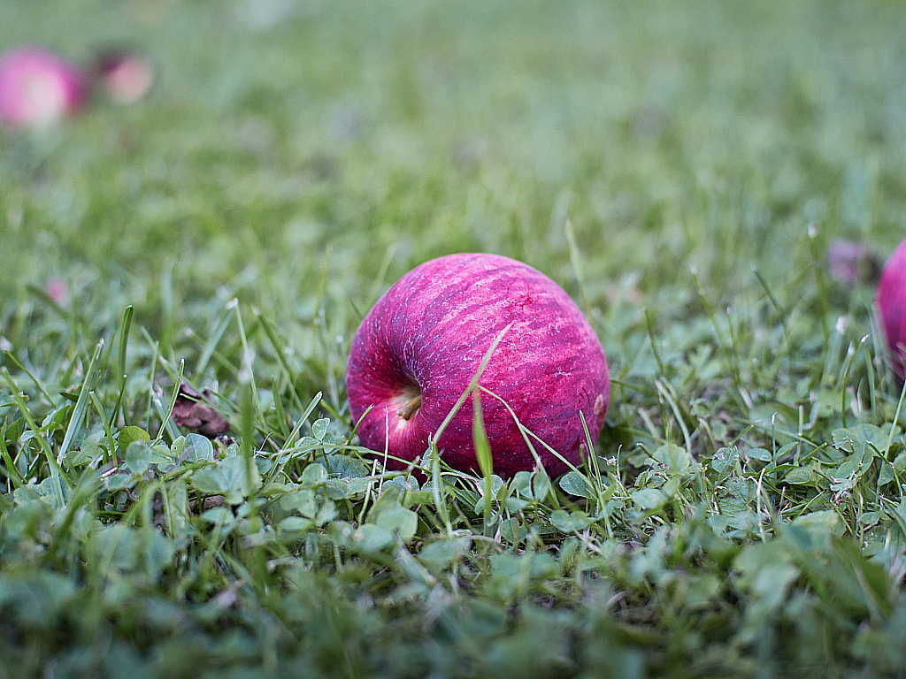Лето 2019 на Шпилёво-190824_172118
