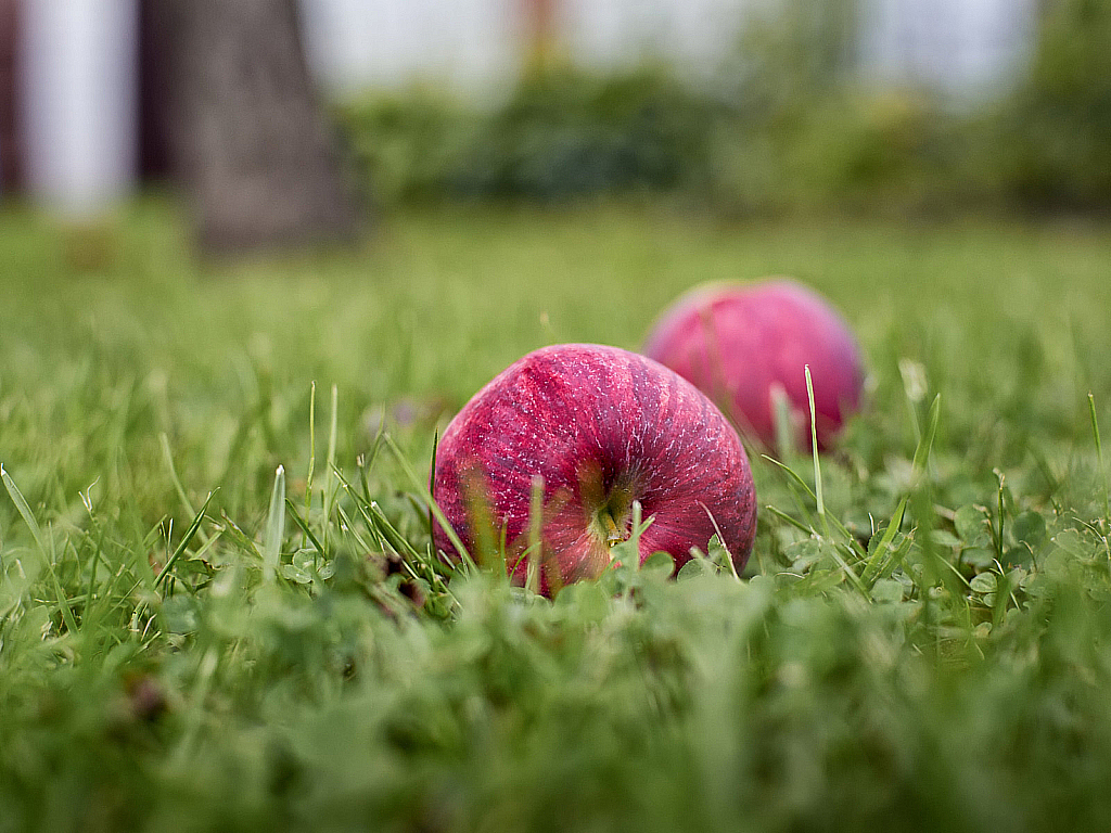 Лето 2019 на Шпилёво-190824_172237