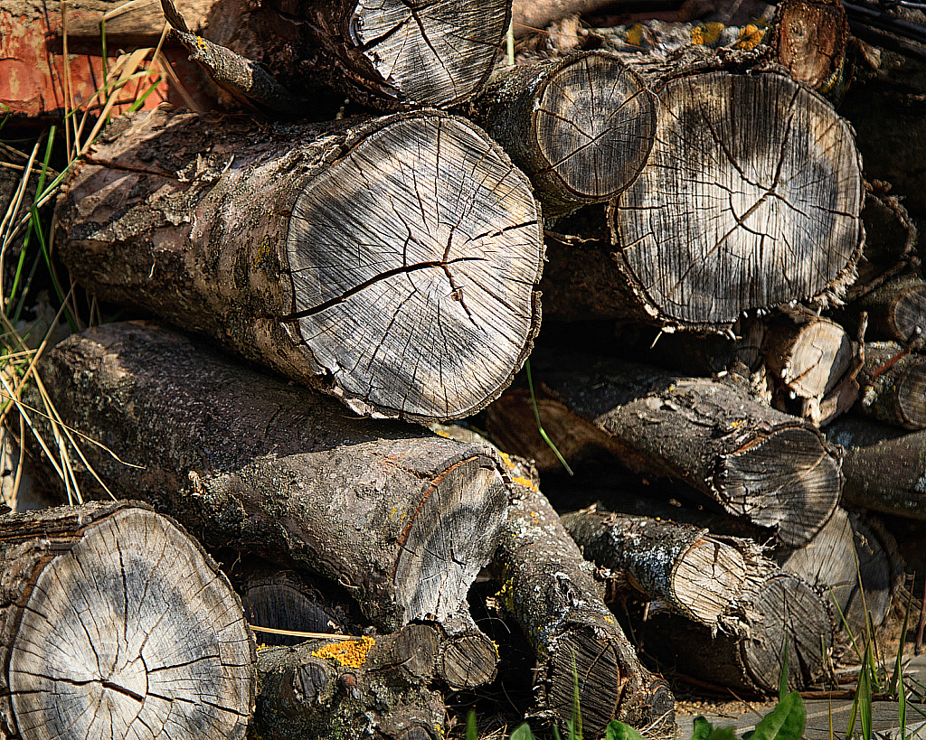 Майские праздники 2020-200503_160832