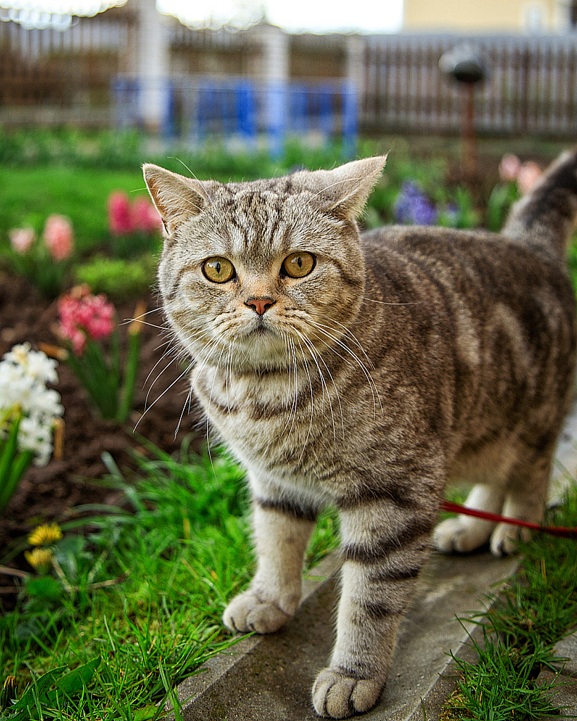 Майские праздники 2020-200505_153312