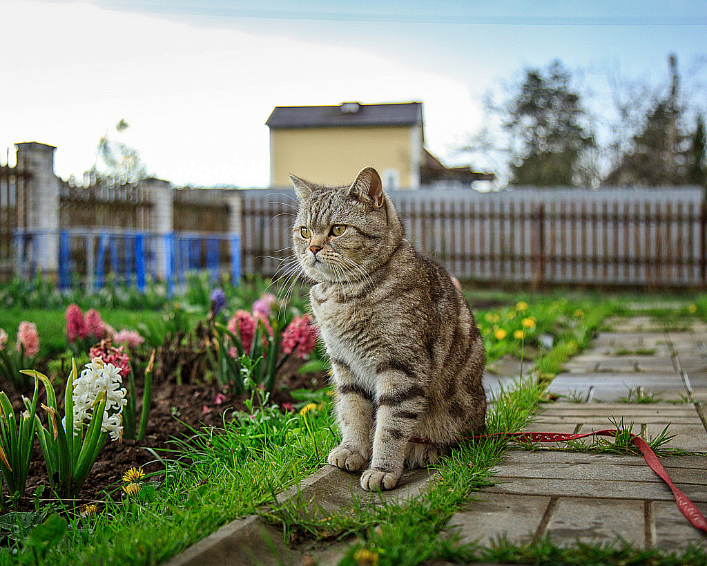 Майские праздники 2020-200505_153323