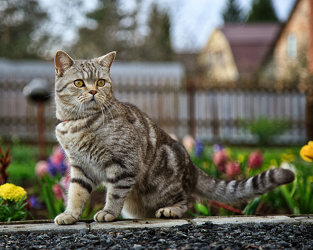 Майские праздники 2020-200505_153408