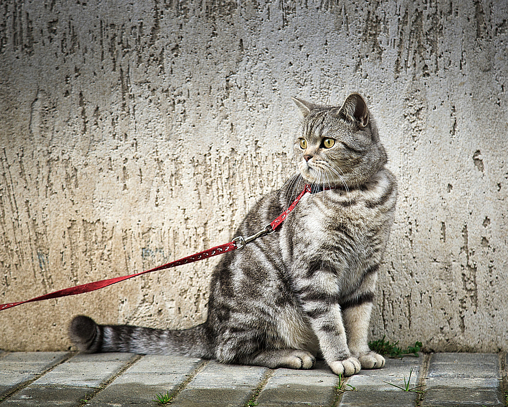 Майские праздники 2020-200505_153511