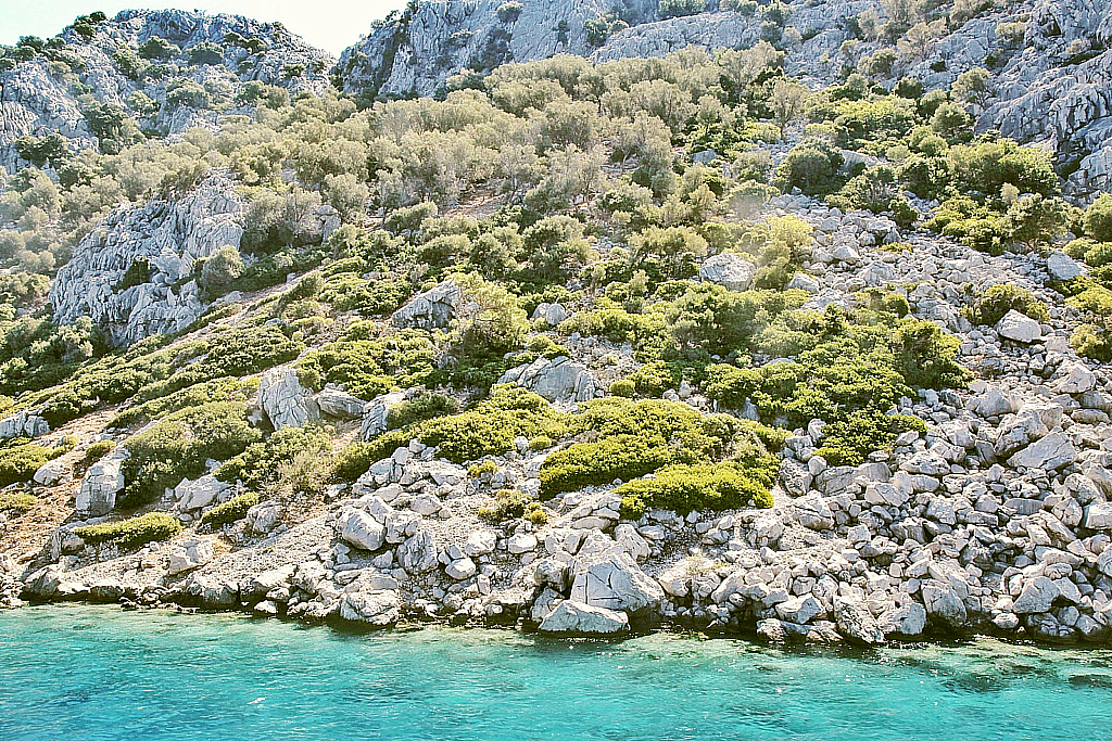 Мармарис 2017 Природа-170908_120623