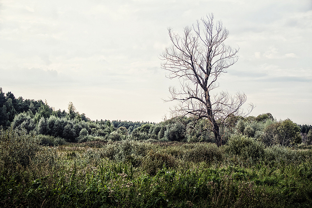 Николо-Пешношский монастырь-160821_200403