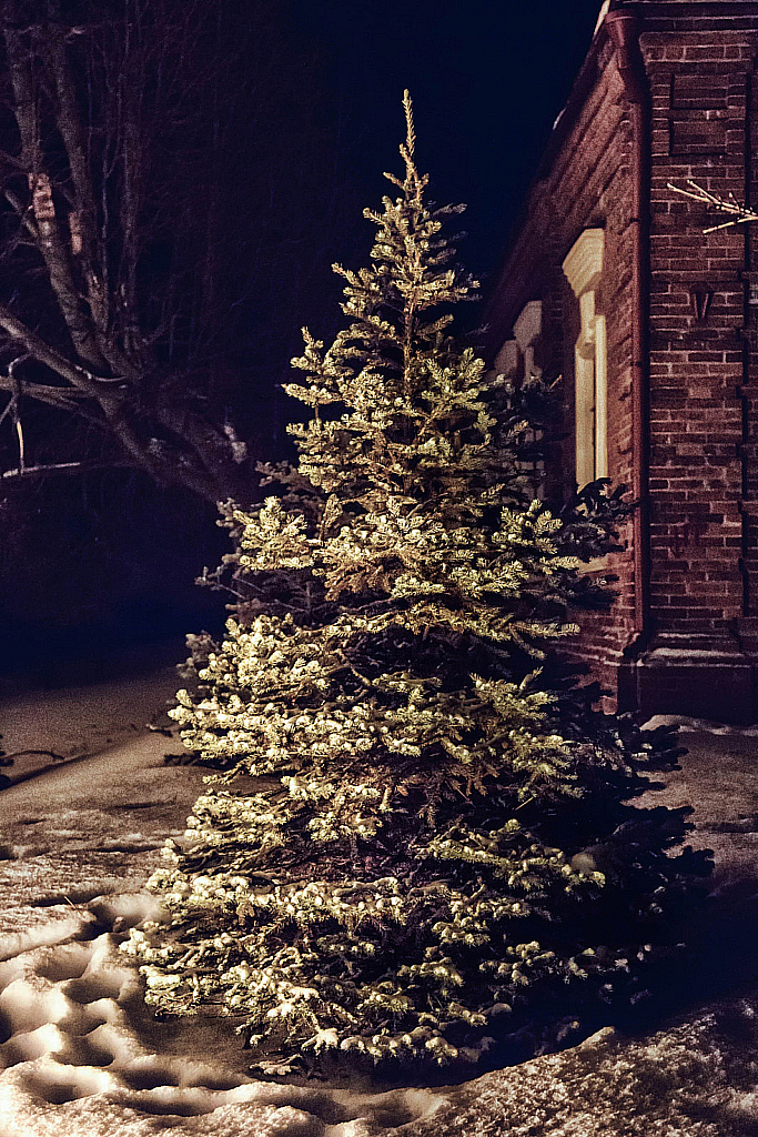 Новогодний Дмитров-180121_213020