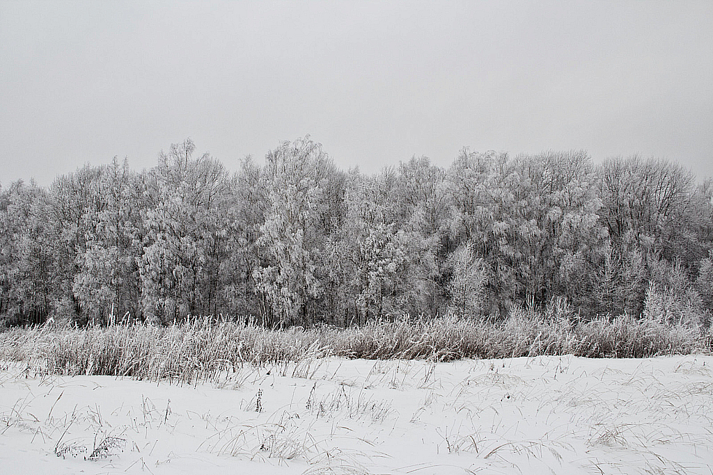 Новый год 2013 в Рузе-130101_155252